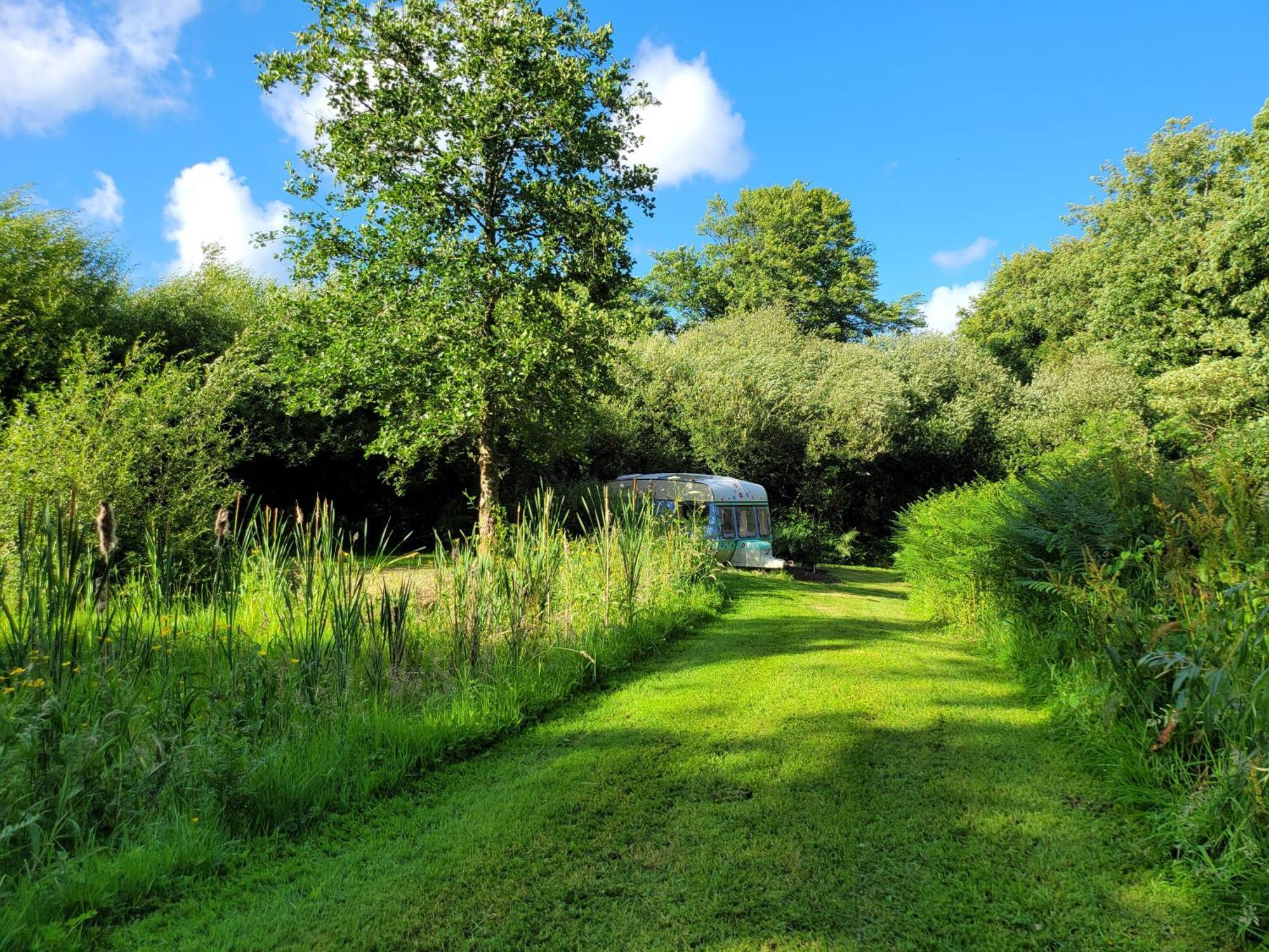 Budget Stay, In Lovely Private Setting With Rustic Charm, Log Burner, Fire Pit, Campers Kitchen & Eco Loo No Bedding Supplied ナーバース エクステリア 写真